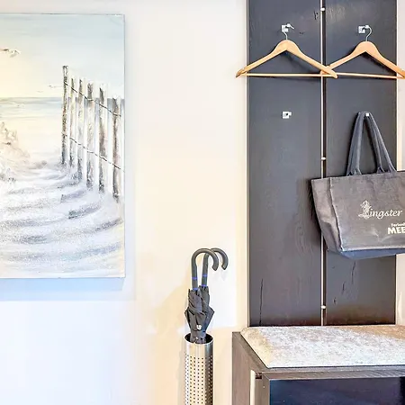 Meerle 1 * זינקסט